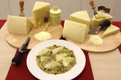 Pecorino Romano DOP recipes