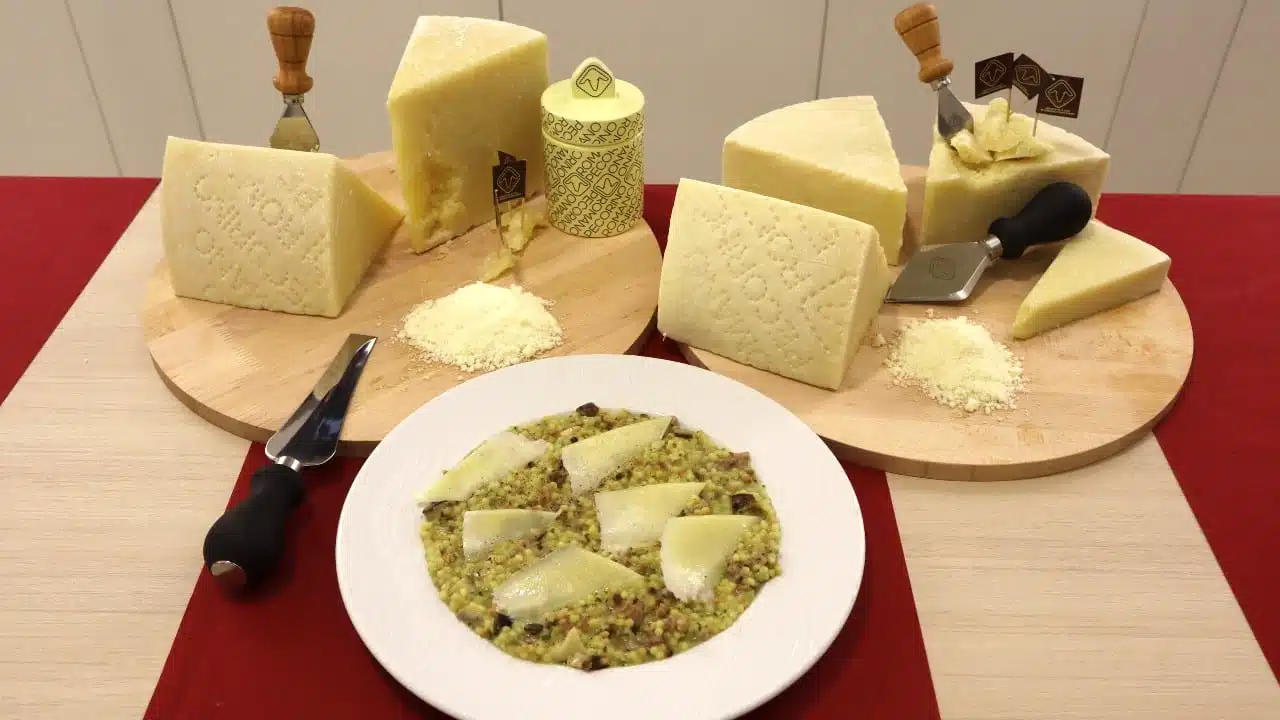 Pecorino Romano DOP recipes