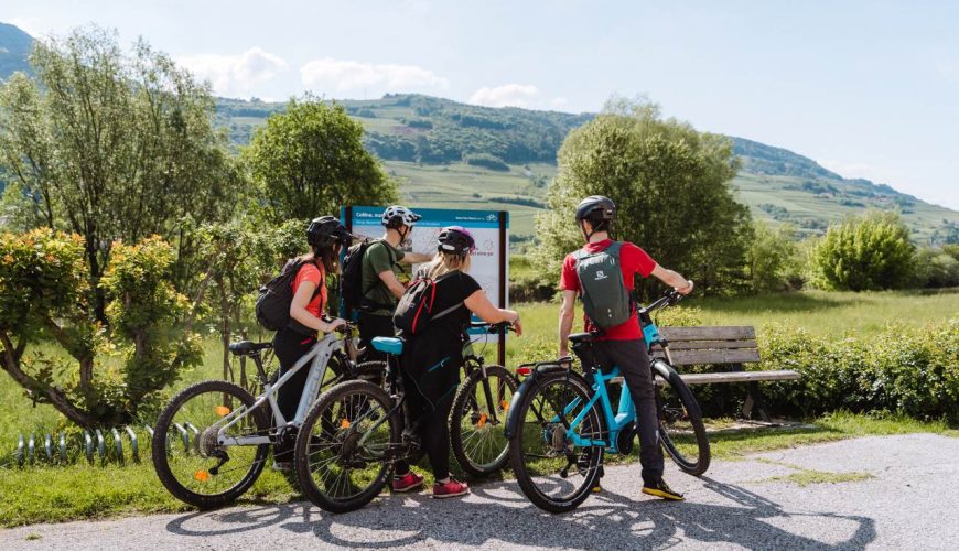 Wine Tour 50: Cycling in Trentino amid taste and wonder