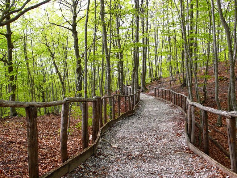 Escursione tra i sentieri della Maiella con noleggio MTB muscolare