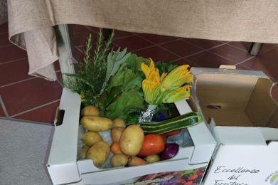Festa dell'Arcobaleno