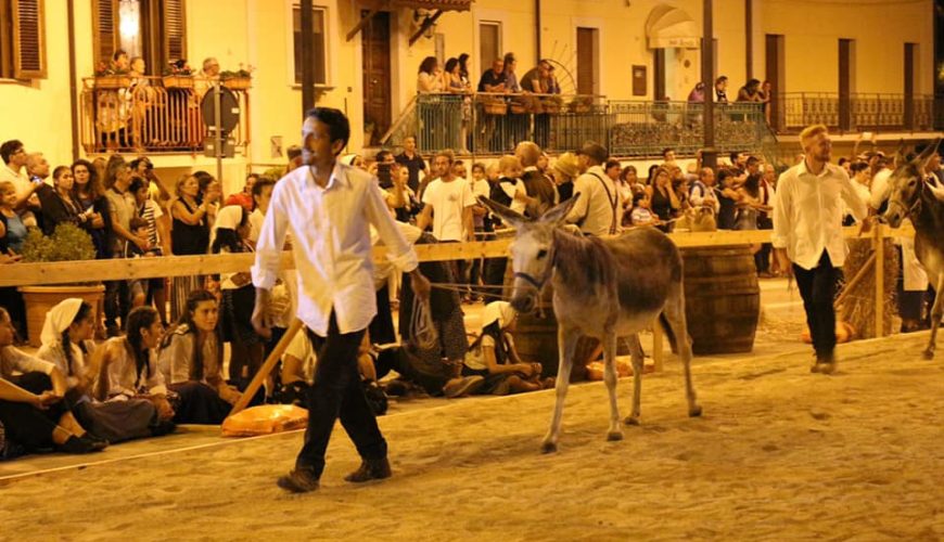 Palio del Ciuccio