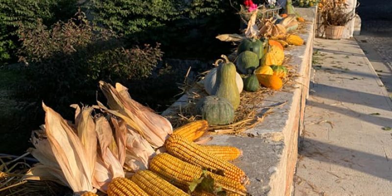 Festa d'Autunno a Portobuffolè