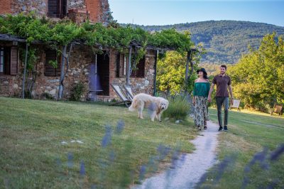 Sassetta: the stone village where nature meets wellness