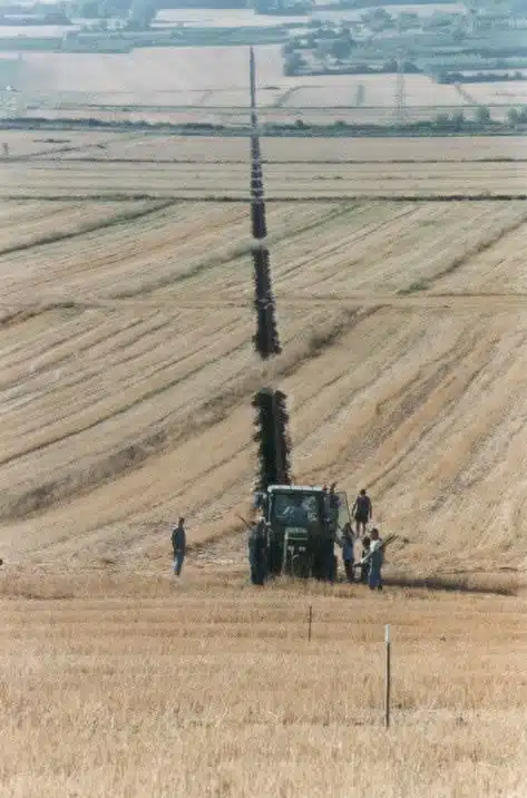 Tiratura del Solco Dritto