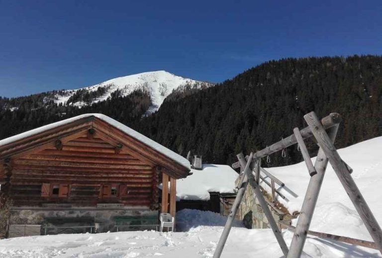 Agritur Malga Lozen