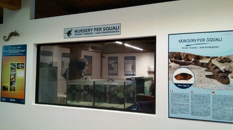 Aquarium Mondo Marino