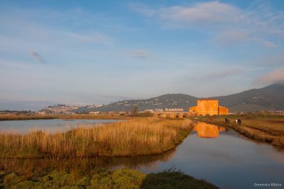 Diaccia Botrona Nature Reserve