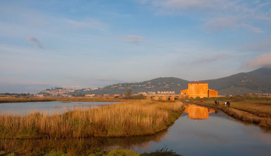 Archaeological Area of Vetulonia and the Diaccia Botrona Nature Reserve