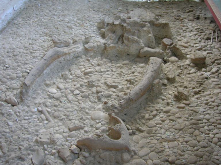 Area archeologica di Notarchirico