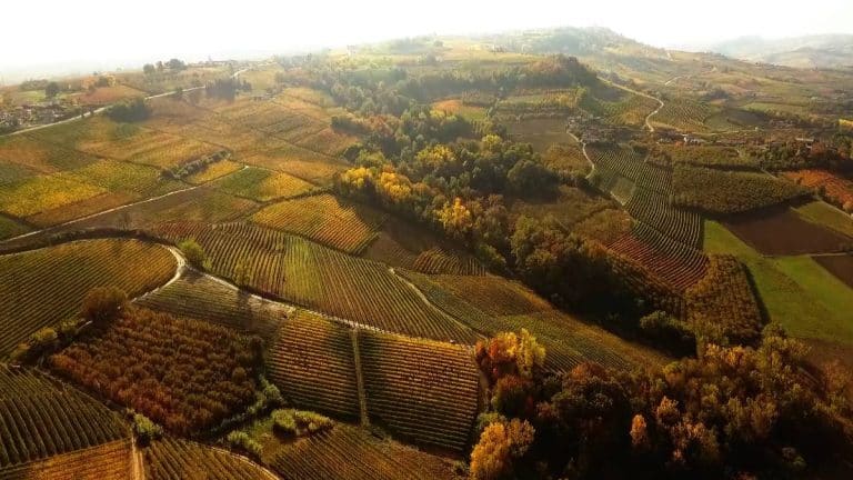Azienda Agricola Sordo Giovanni