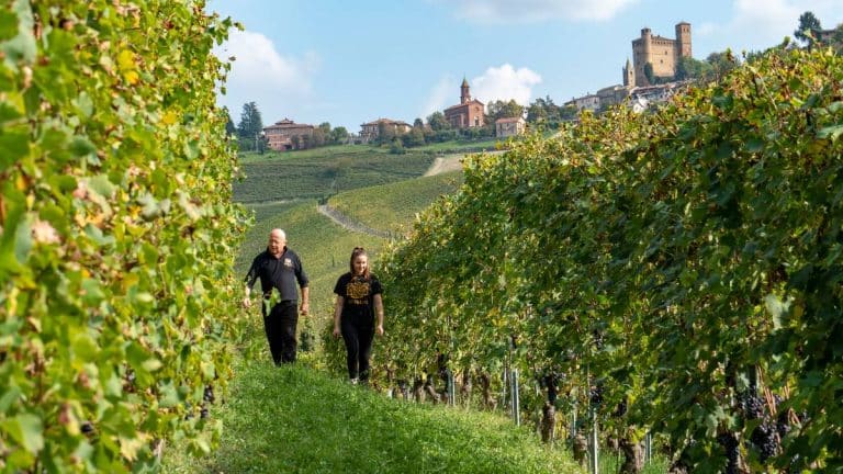 Azienda Agricola Sordo Giovanni