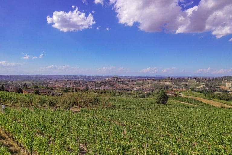 Azienda Vitivinicola Gianni Doglia