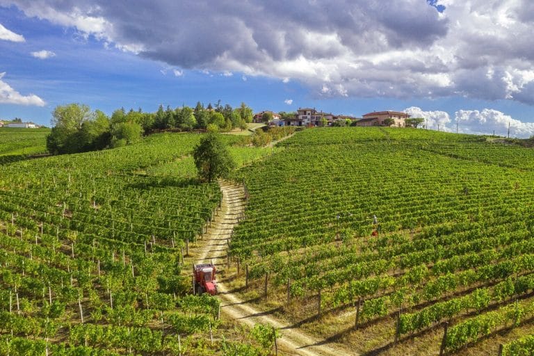 Azienda Vitivinicola Gianni Doglia