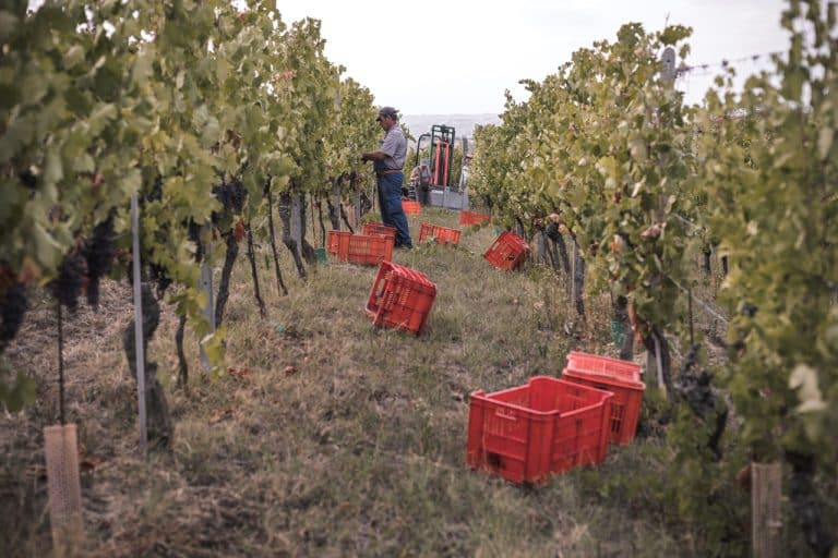 Azienda Vitivinicola Gianni Doglia