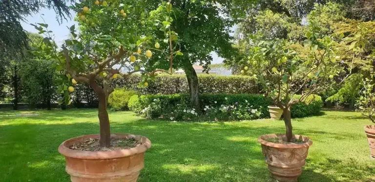 B&B La Villa