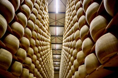 Barchessone-Dairy