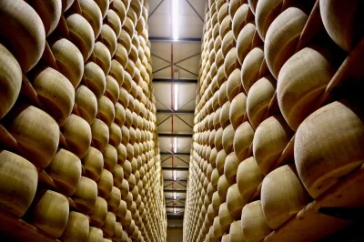 Latteria Sociale Barchessone