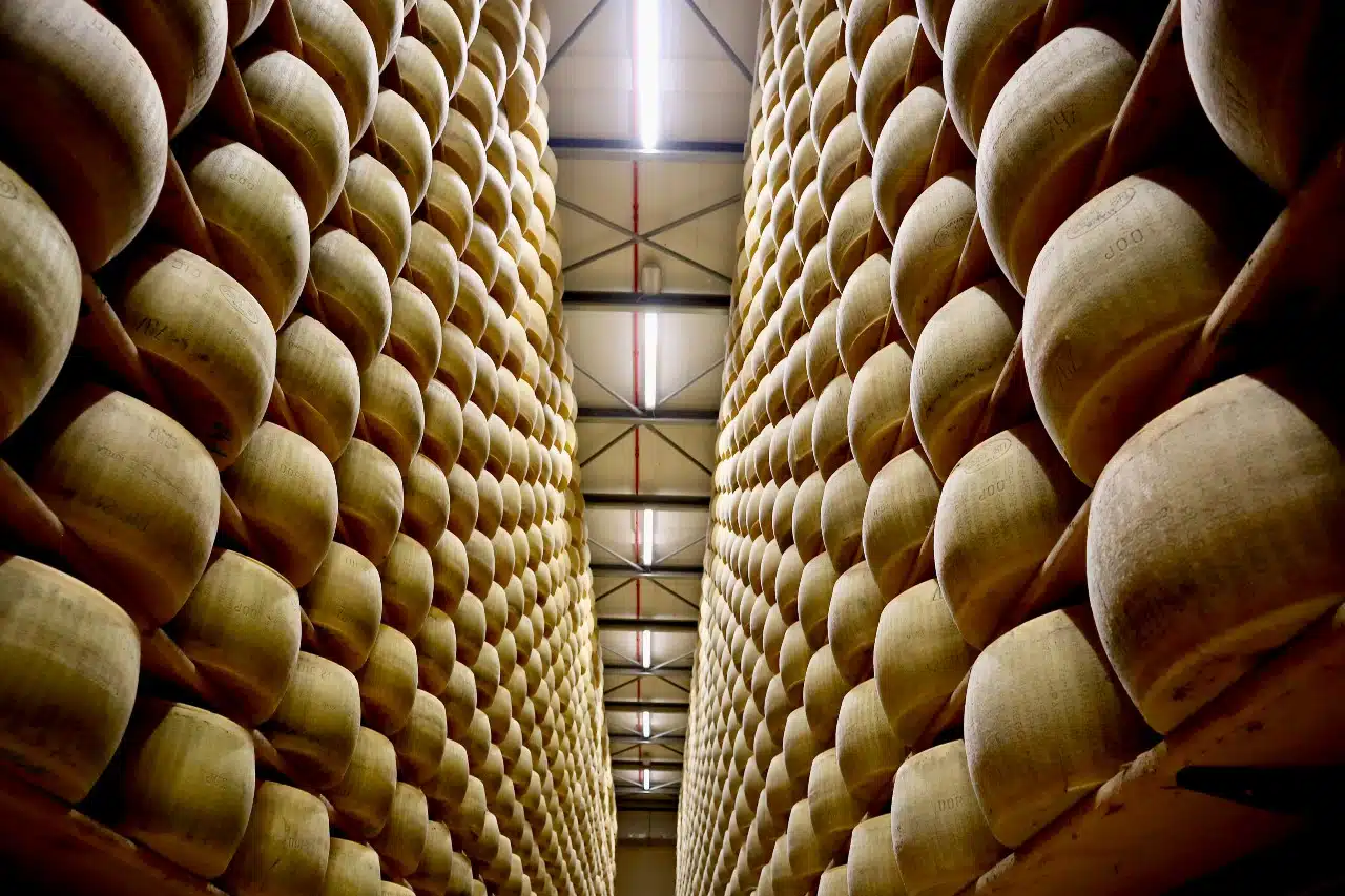 Barchessone-Dairy