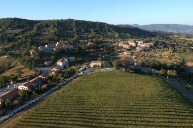 Catabbio