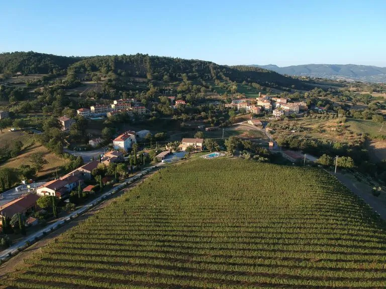 Catabbio