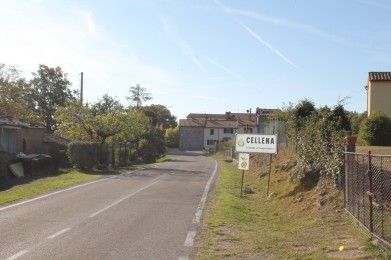 Cellena