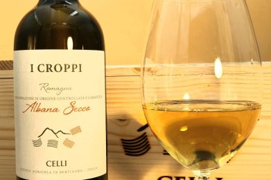 Celli-Winery