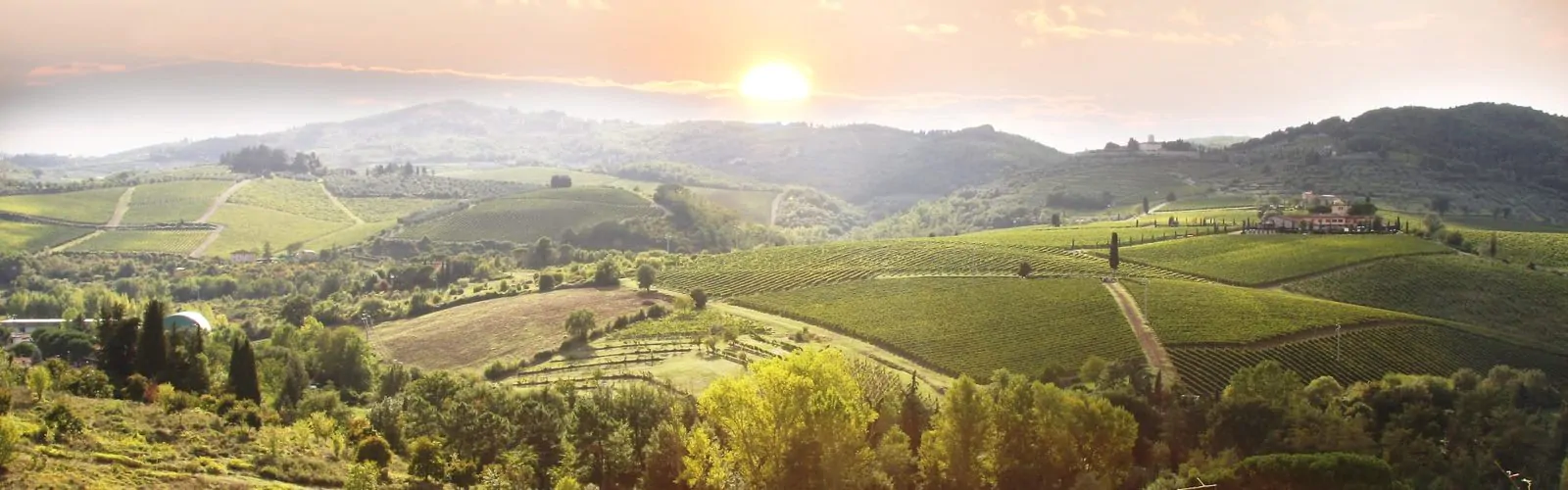 Chianti