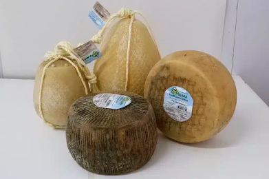 Cooperativa Agricola Molara, i formaggi