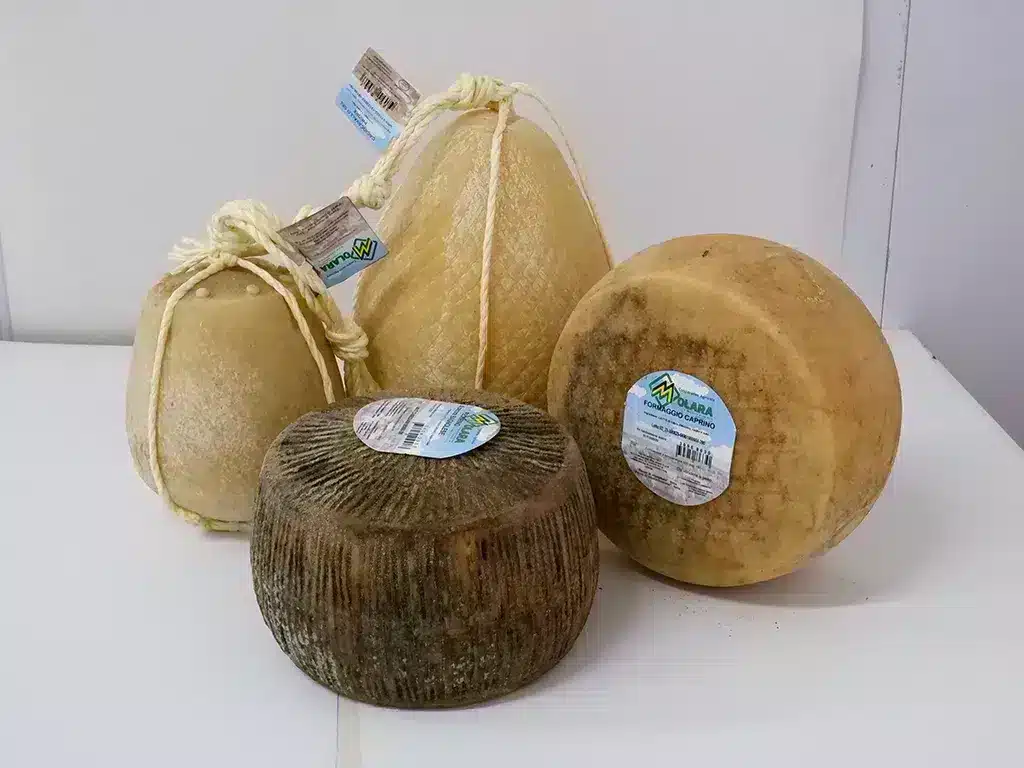 Cooperativa Agricola Molara, i formaggi