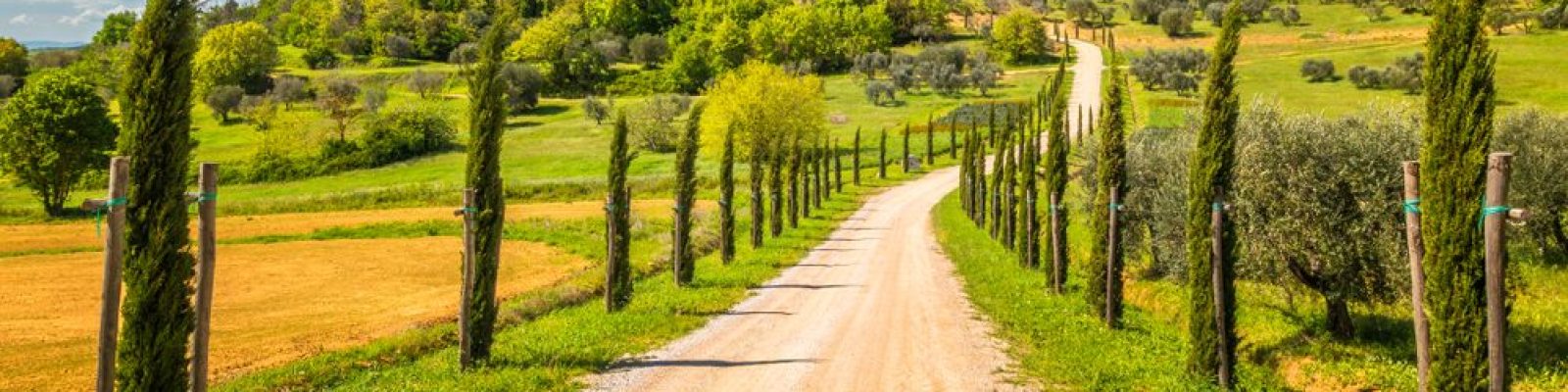 strada con cipressi e borgo sulla collina