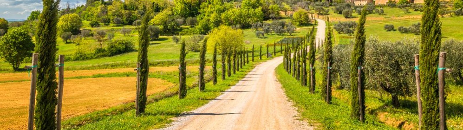 cypress-lined road and hilltop village