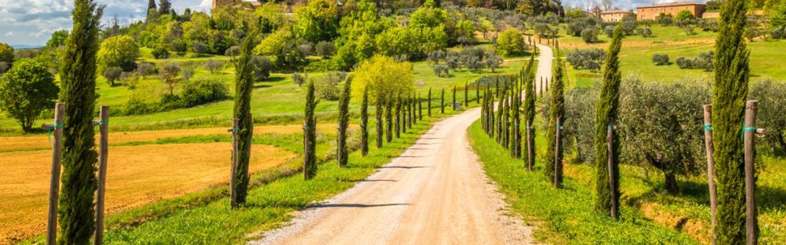 strada con cipressi e borgo sulla collina