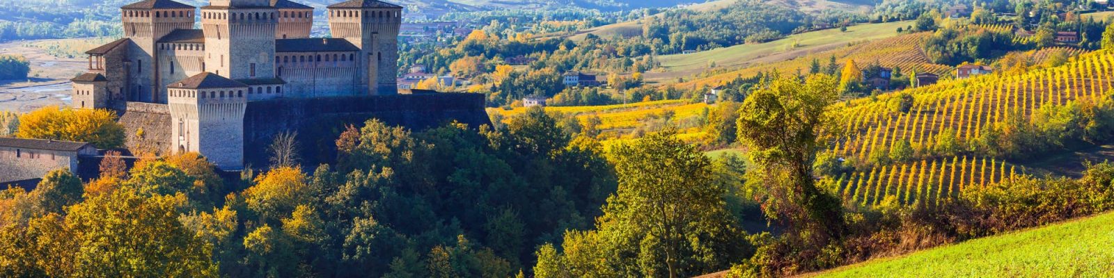 un castello su una collina con alberi e montagne sullo sfondo