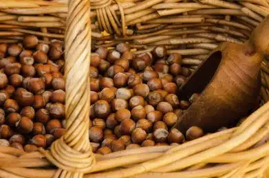 Fiera della nocciola a Castagnole Lanze