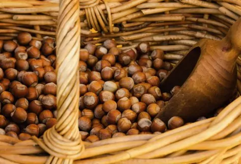 Fiera della nocciola a Castagnole Lanze