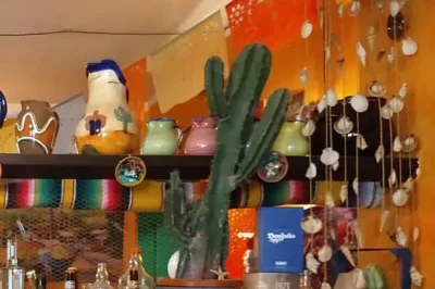 Gato Gordo Ristorante messicano