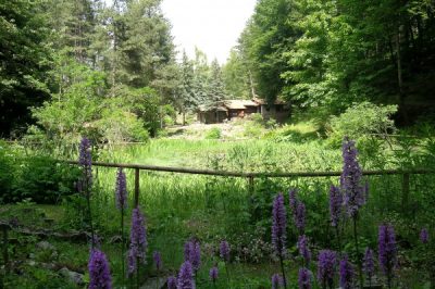 Alpine Garden of Pietra Corva