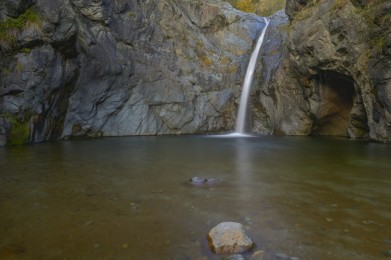 Goja-del-Pis