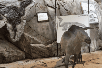Antonio the Dinosaur