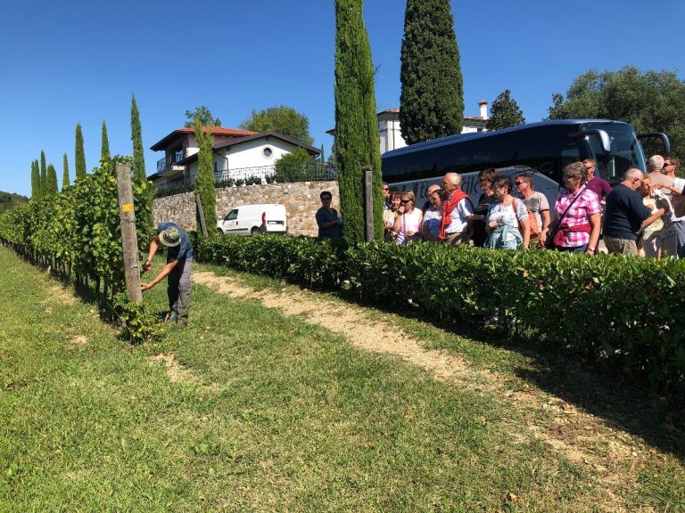 Il Roncal Wine & Resort