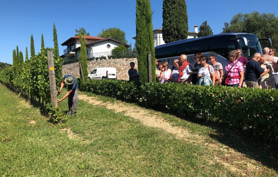 Il Roncal