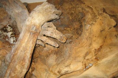 The Mummies of Venzone