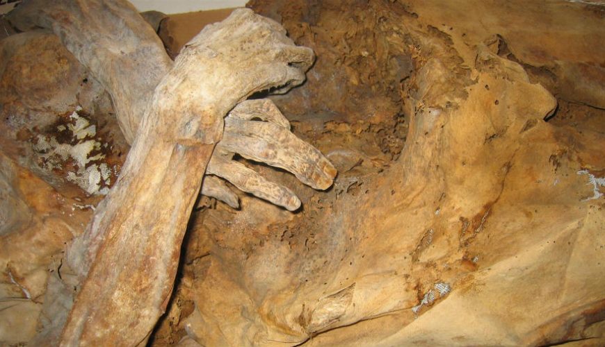 The Mummies of Venzone