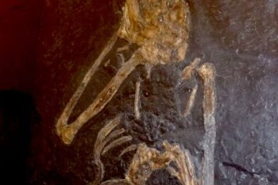 Museo-Archeologico-di-Massa-Marittima