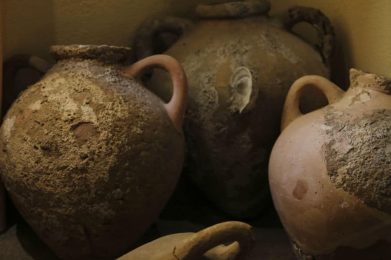 Museo-Archeologico-e-della-vite-e-del-vino