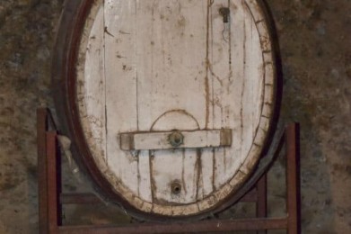 Museo-del-Vino-Palazzo-Ferraro