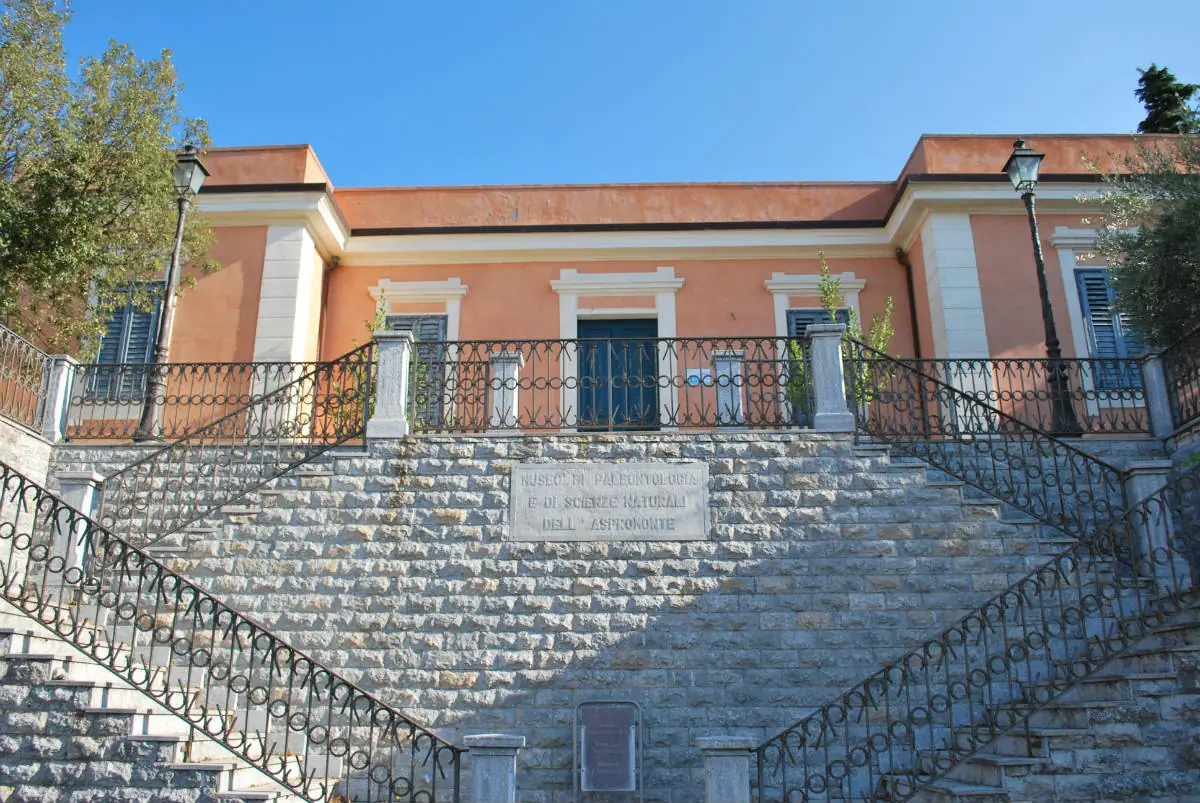 Museo-di-Paleontologia-e-Scienze-naturali-dellAspromonte