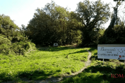 Oasi LIPU Castel di Guido
