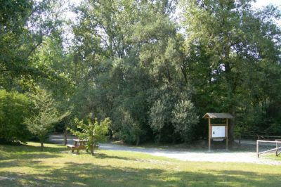 Oasi delle Grave di Negrisia